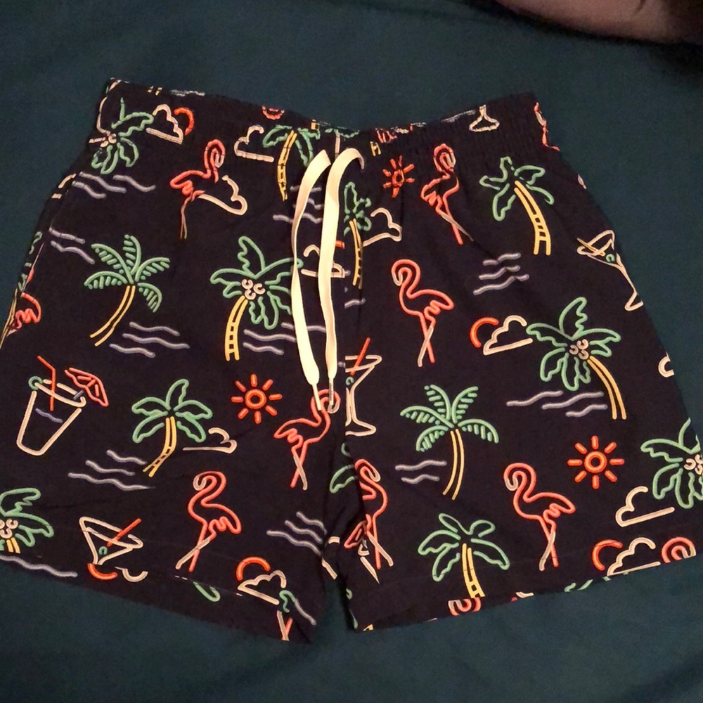 Chubbies The Neon Lights 5.5 in. Stretch Short